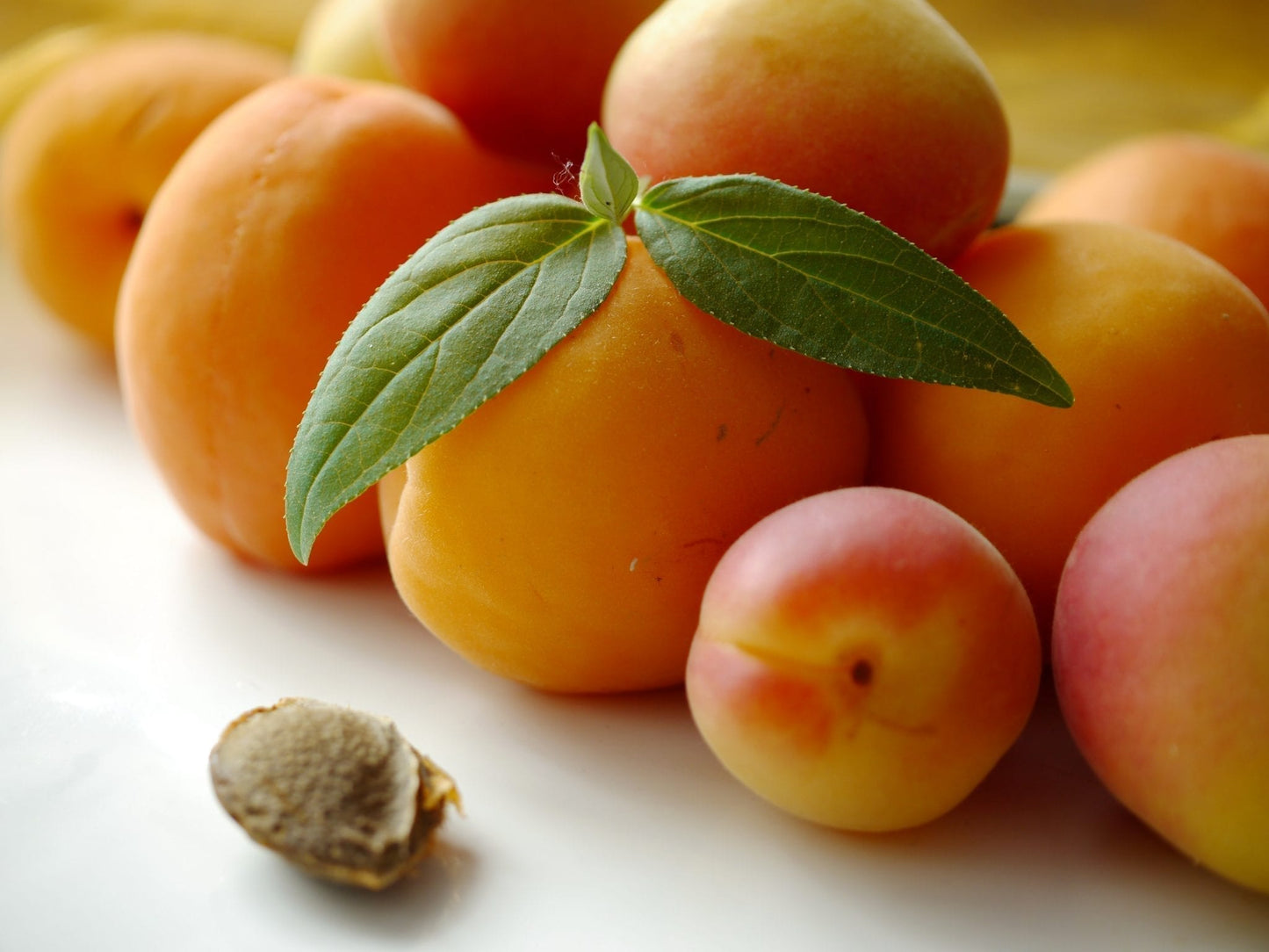 Bittere Aprikosen Kerne